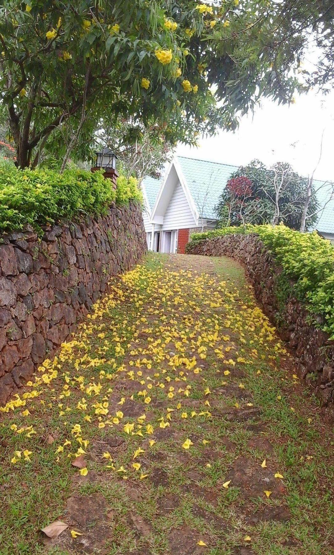 Ambady Estate Hotel Munnar Exterior foto